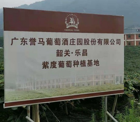 廣東韶關(guān)葡萄酒莊園選用螺桿式蒸發(fā)冷機(jī)組